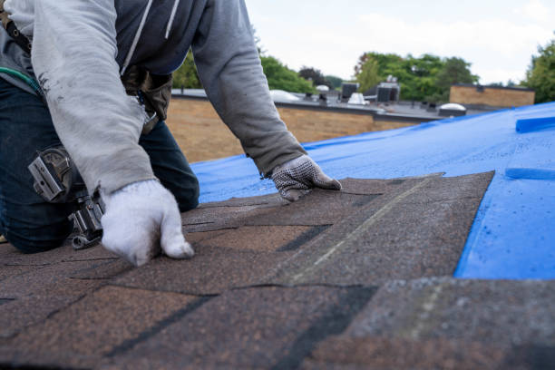 Best Roof Gutter Cleaning  in Flora, IN